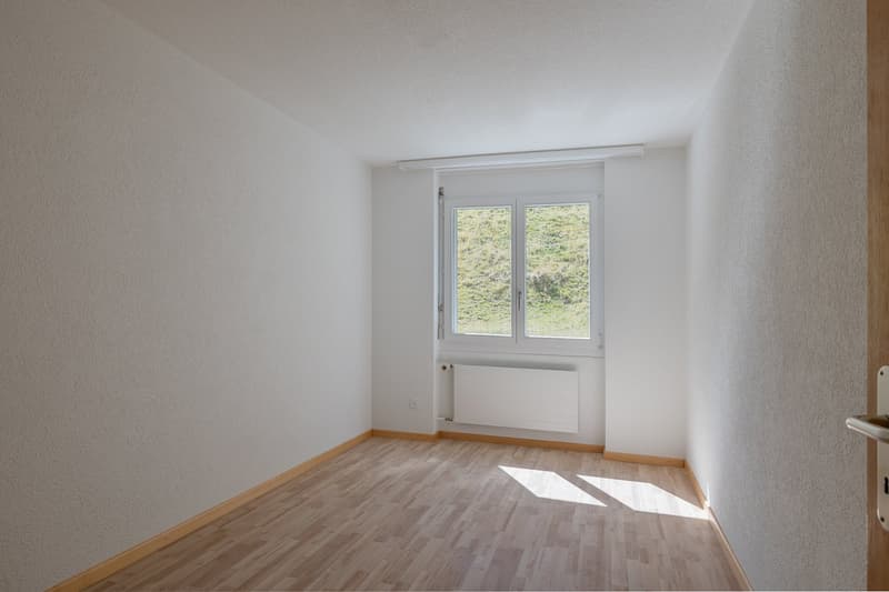 "Geniessen Sie die Skyline von Mühleberg" (13)