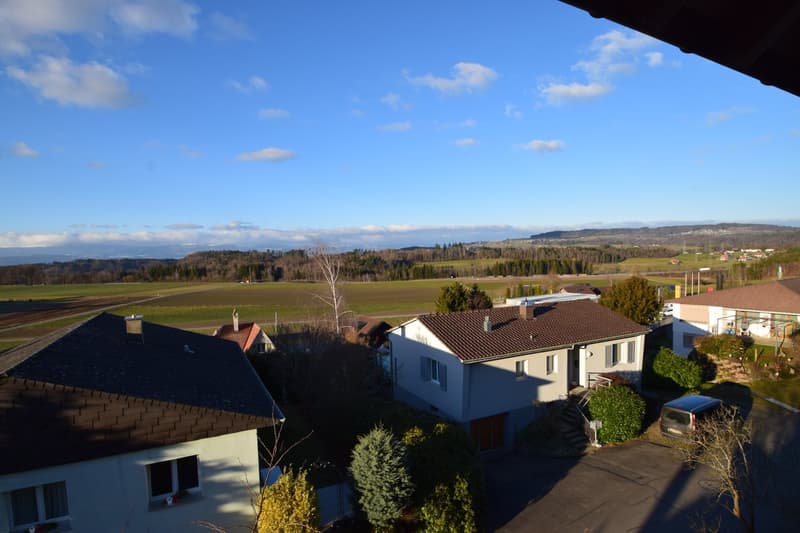"Geniessen Sie die Skyline von Mühleberg" (5)