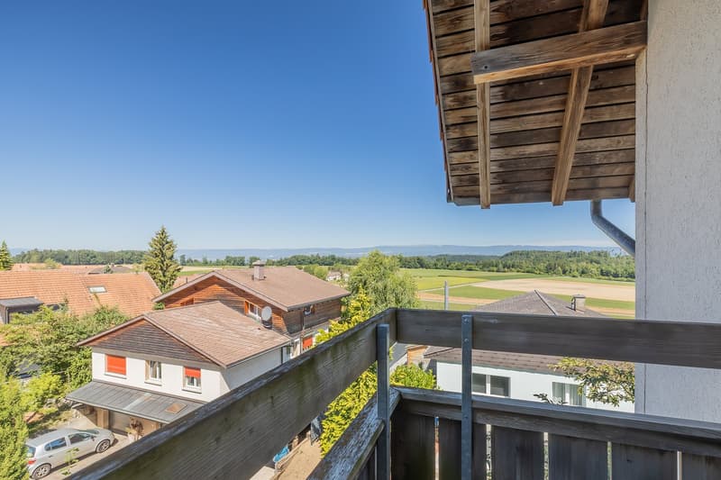 "Geniessen Sie die Skyline von Mühleberg" (3)