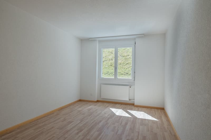 "Geniessen Sie die Skyline von Mühleberg" (12)