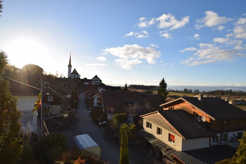 "Geniessen Sie die Skyline von Mühleberg" (4)