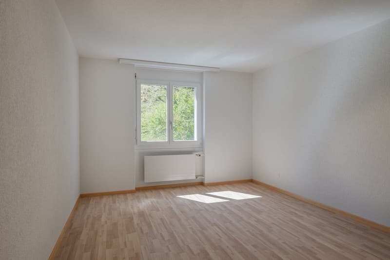 "Geniessen Sie die Skyline von Mühleberg" (14)