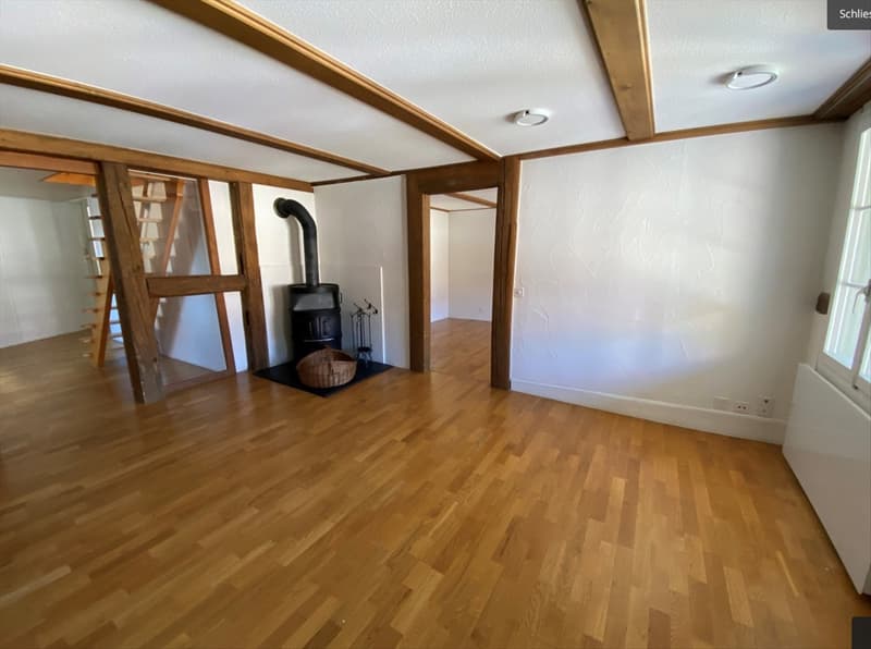 Helle Maisonettewohnung mit viel Charme zu vermieten (1)