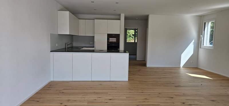 Erstbezug: Exklusive 4.5-Zimmer-Neubauwohnung mit grosser Terrasse in Kerzers (11)