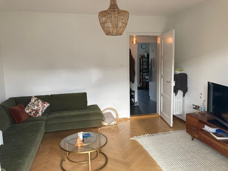 Wohnen im Breitsch - charmante Wohnung an zentraler Lage (4)