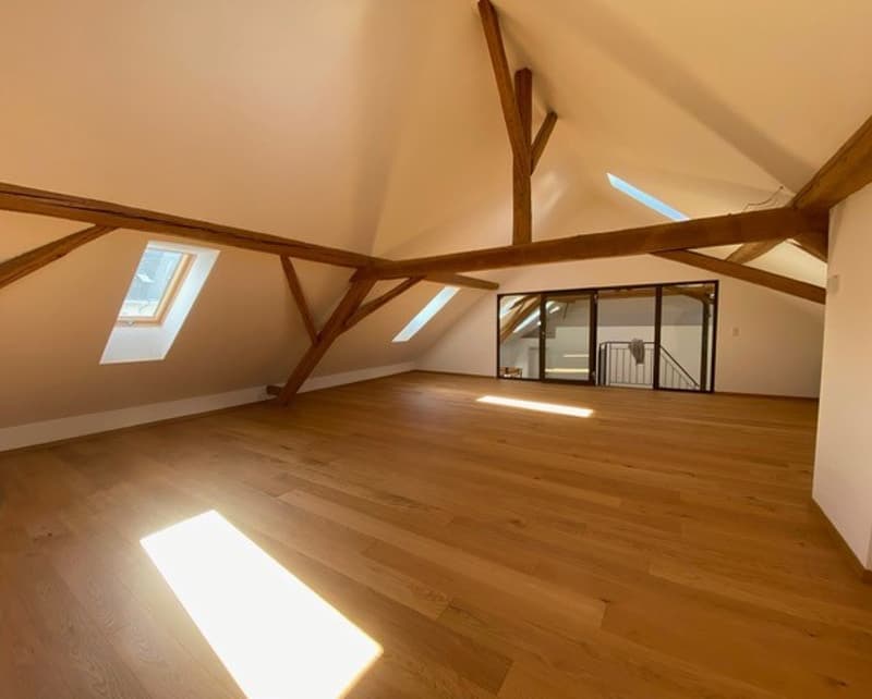 Einzigartiges Wohnen mit Loftcharakter – 4-Zimmer-Wohnung in Galmiz (5)