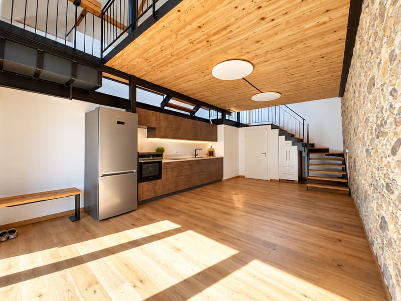 Einzigartiges Wohnen mit Loftcharakter – 4-Zimmer-Wohnung in Galmiz (4)