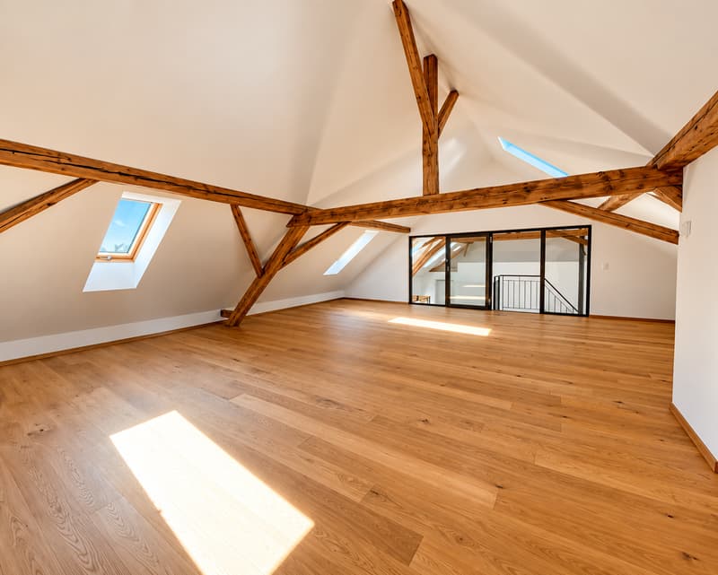 Einzigartiges Wohnen mit Loftcharakter – 4-Zimmer-Wohnung in Galmiz (2)