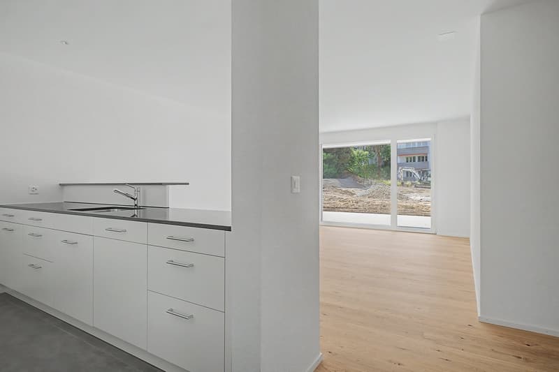 Ihre letzte Chance: Nur noch eine 3.5-Zimmer-Neubauwohnung verfügbar! (4)