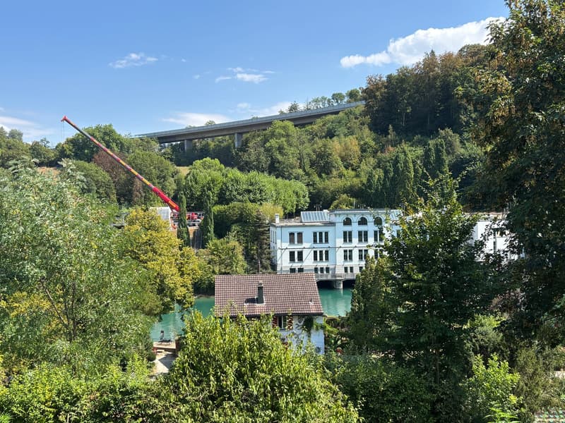 Wohnen mit Aussicht: Helle Wohnung mit Blick auf die Aare und Felsenau (9)