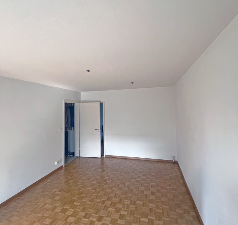 Teilsanierte 3-Zimmer-Wohnung an ruhiger Lage (5)