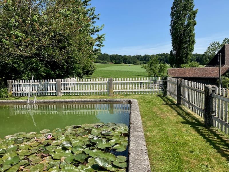 Ruhige Lage und herrliche Aussicht (12)