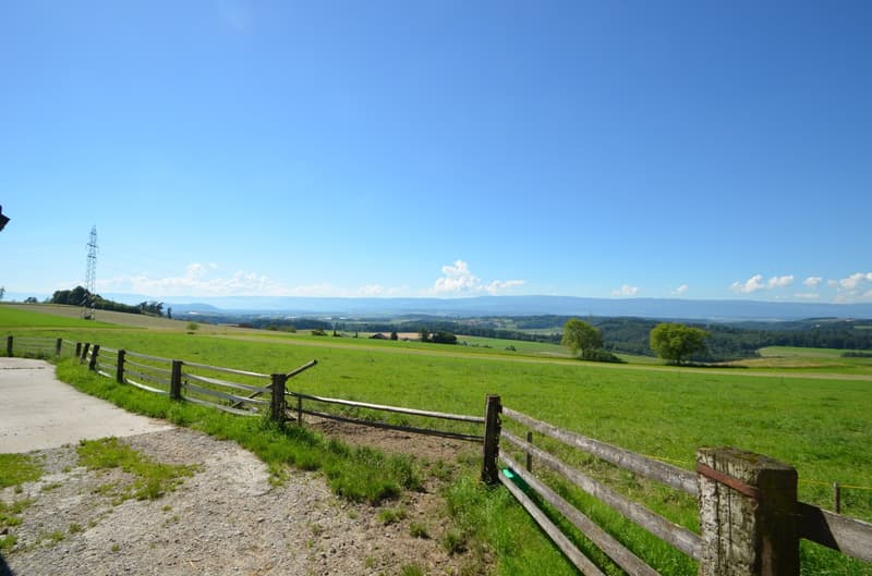 Ruhige Lage und herrliche Aussicht (9)