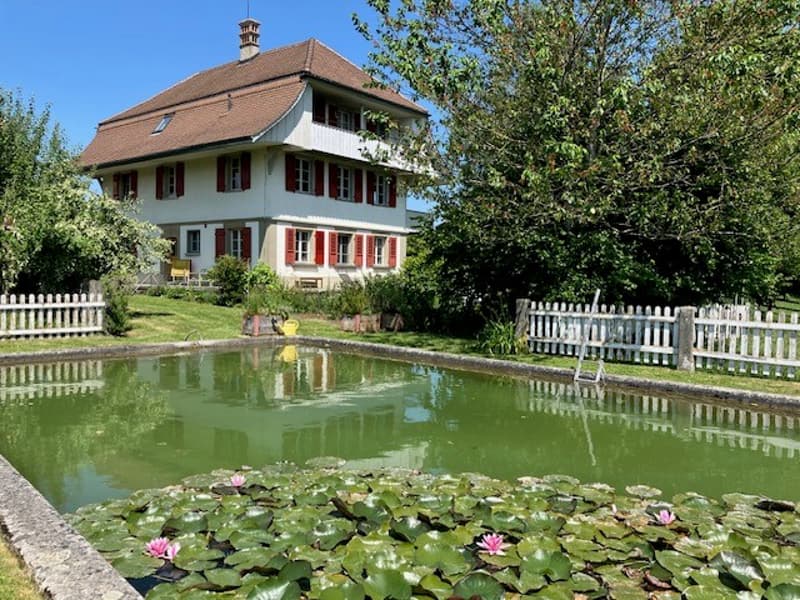 Ruhige Lage und herrliche Aussicht (10)