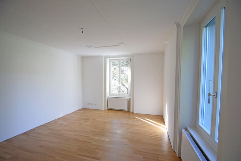 Klassisches Wohnflair in stattlicher Liegenschaft (4)