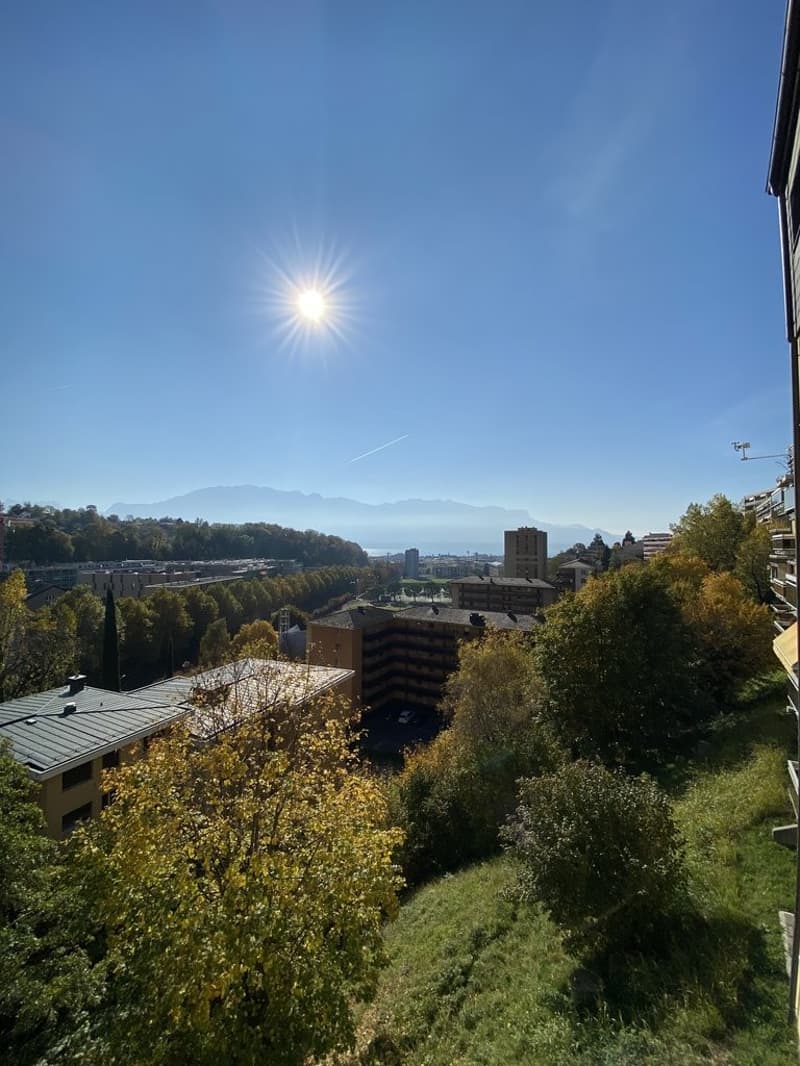 Vue.JPG