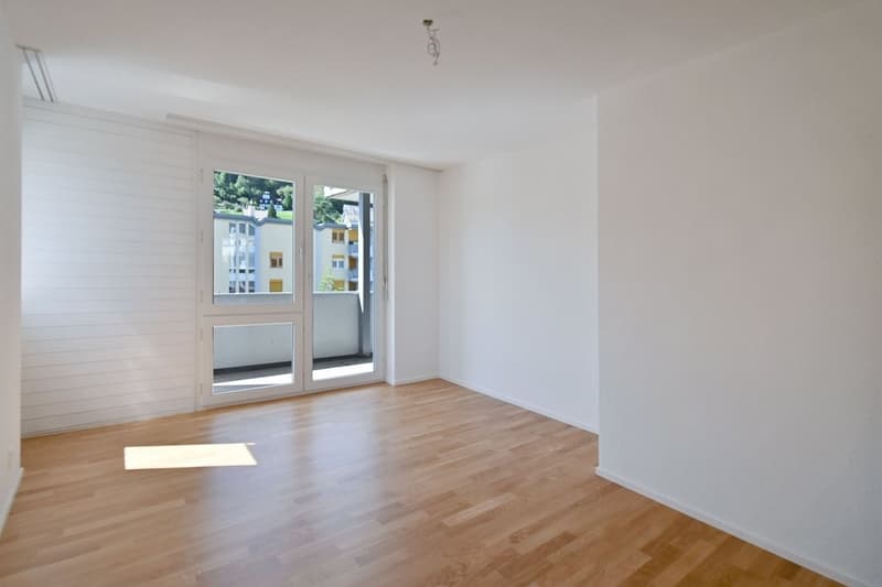 Zimmer-Z50_6142-WEB.jpg