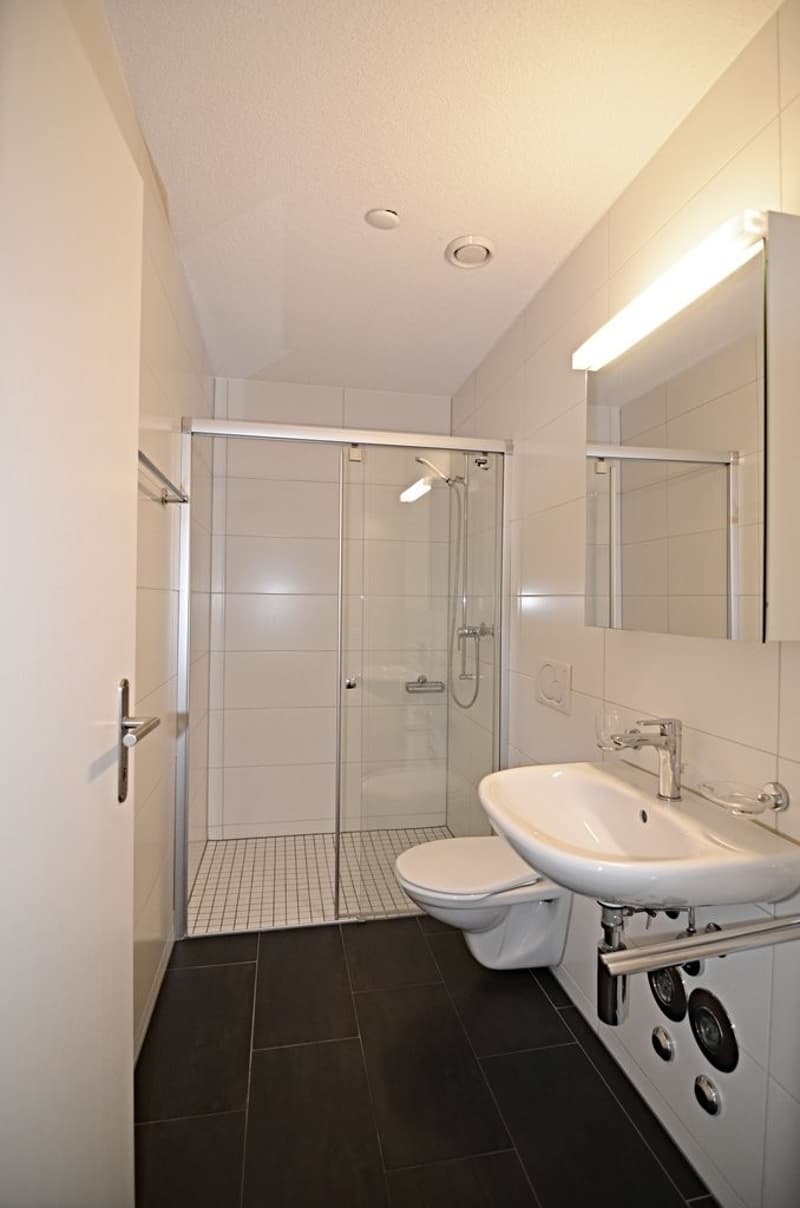 N.42_Du-WC.jpg