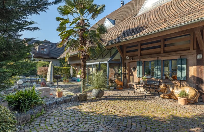 Historic charm and architectural refinement - Ostermundigen (2)