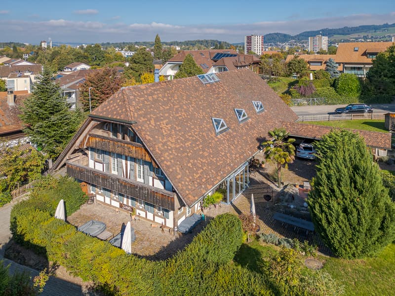 Historic charm and architectural refinement - Ostermundigen (3)