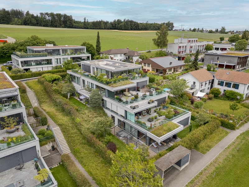 Garden Apartment - Meikirch (11)