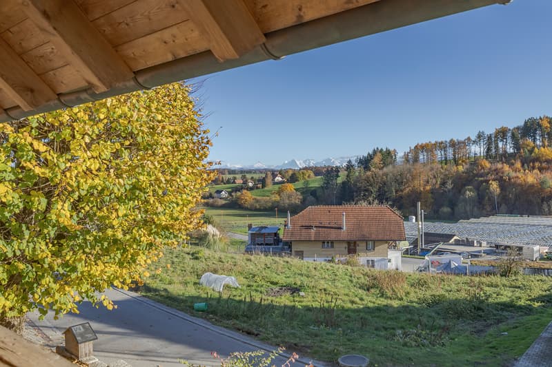 Vivre dans la commune de Murten - Gempenach (6)
