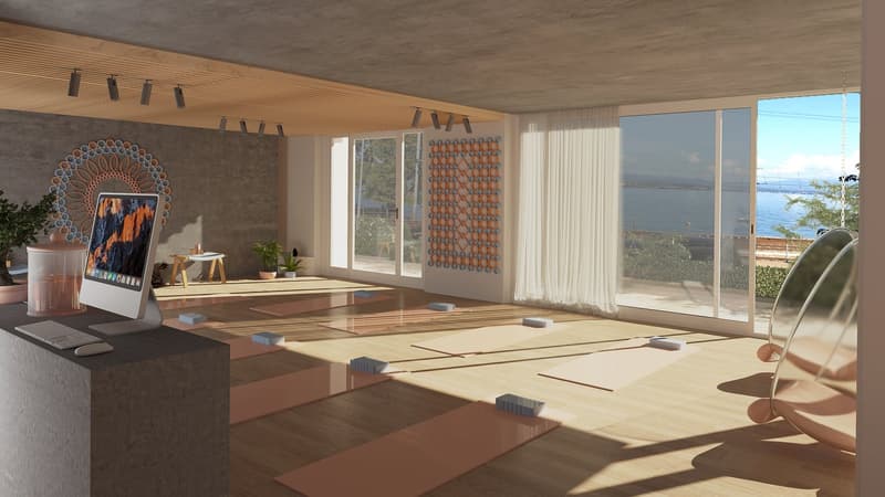 studio room with wooden floor, yoga mats, desk with computer, yoga swing, glass doors, curtain, plants, panoramic windows