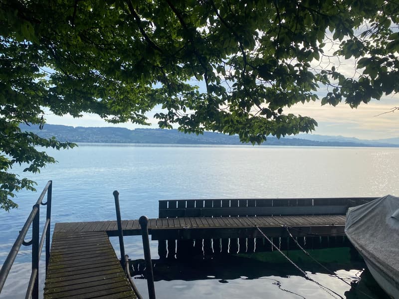 Attractive office space directly on Lake Zurich (7)
