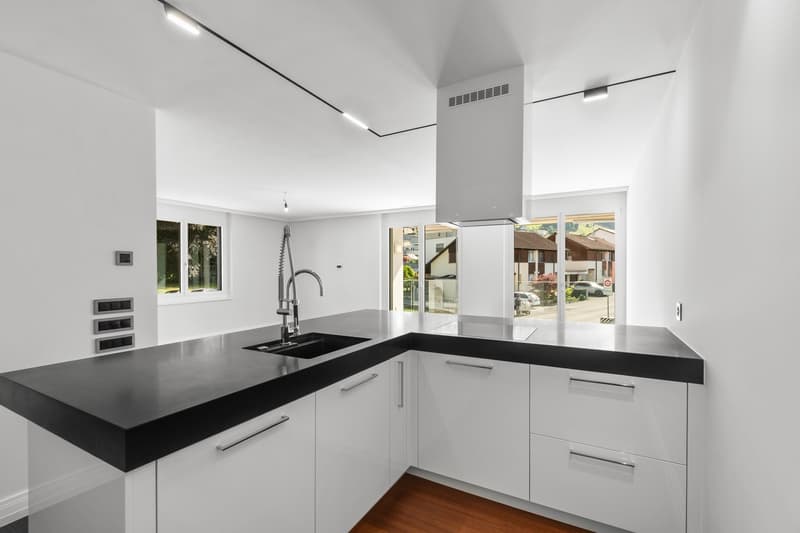 Modern. Elegant. Especially - high-quality apartment with style and comfort (3)