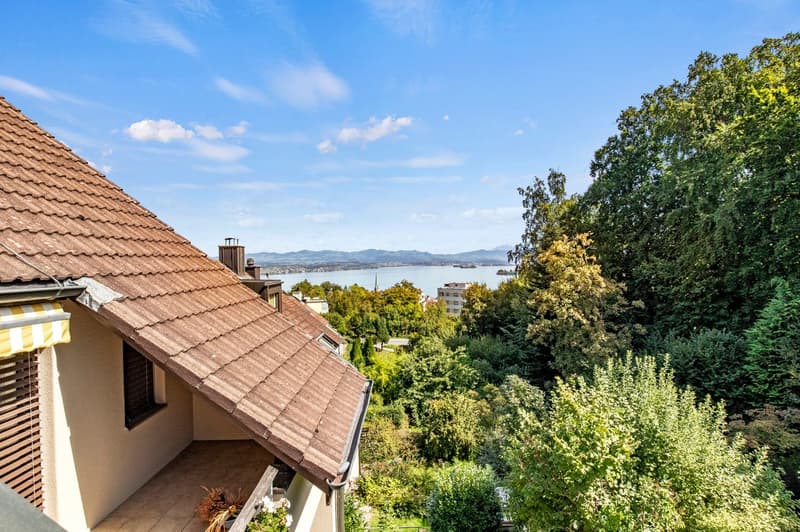 Welcome home in der Perle am Zürichsee (Richterswil) (4)