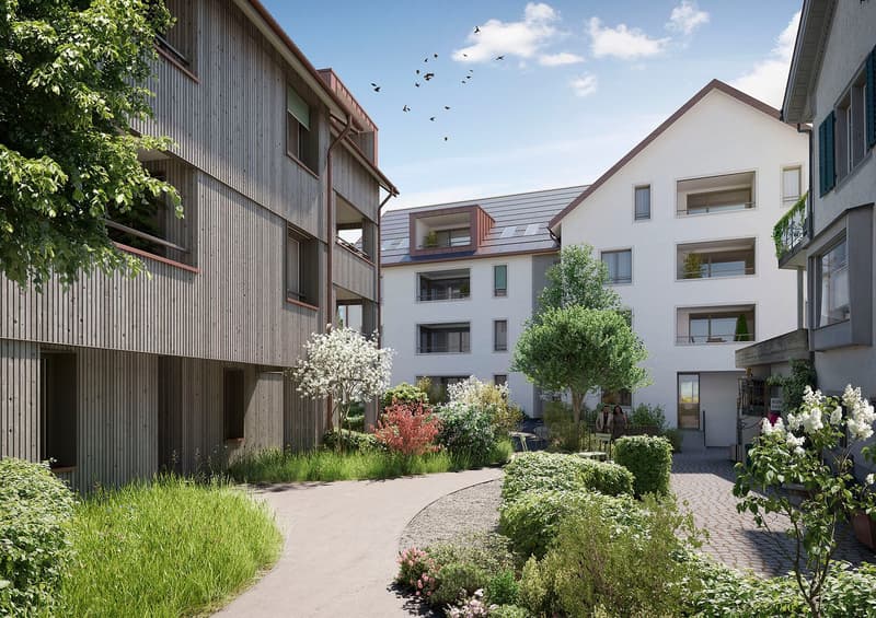 Letzte Gelegenheit für moderne Neubauwohnungen in Richterswil (1)