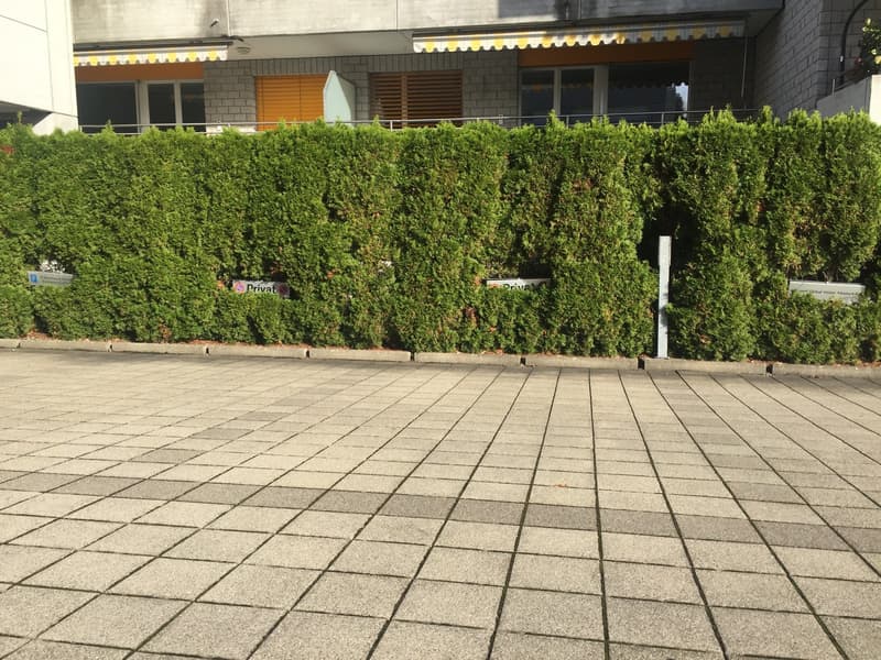 Au centre de Wollerau (1)