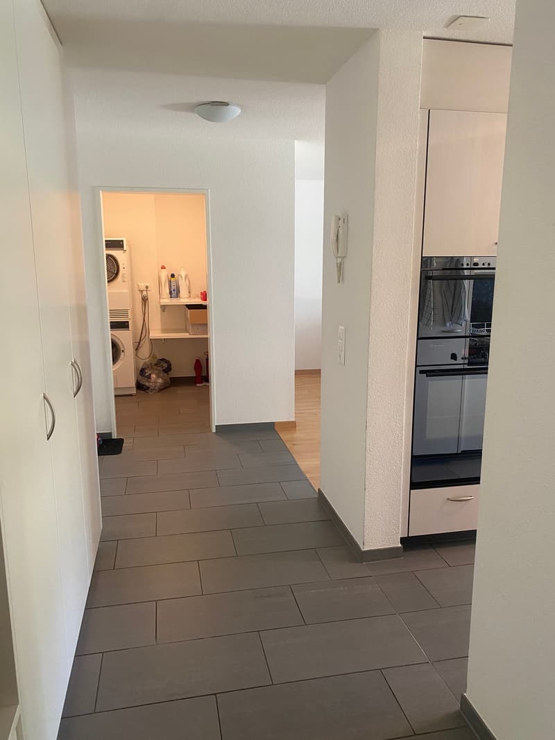 Vivere nel cuore di Richterswil (7)
