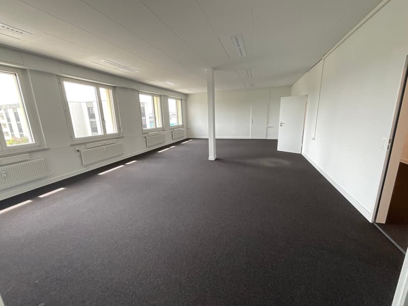 Bureau lumineux avec 6 pièces sur Motorenstrasse à Wetzikon ZH (4)