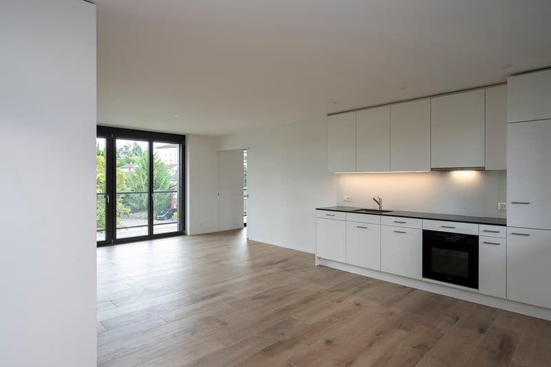3.5-room apartment in a quiet neighborhood (new building 2024) (2)