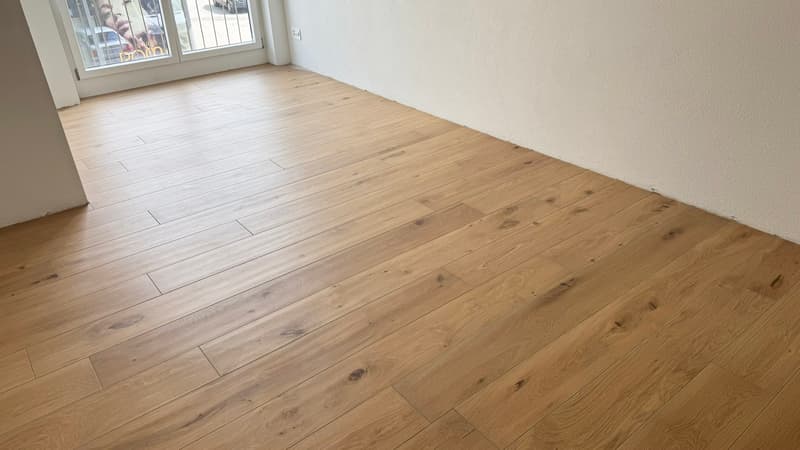 Appartement 3.5 pièces en plein centre de Wetzikon (5)