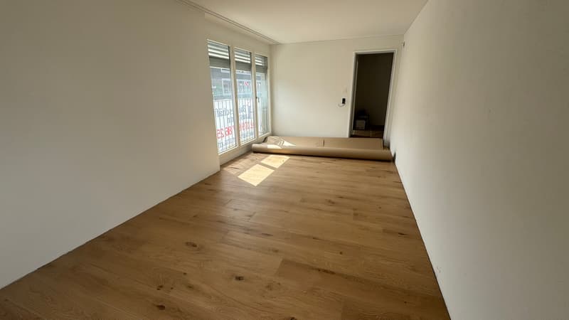 Appartement 3.5 pièces en plein centre de Wetzikon (1)