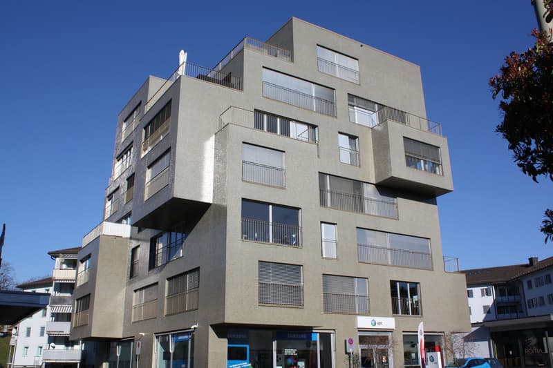 New 3.5 room apartment in the center of Wetzikon (1)