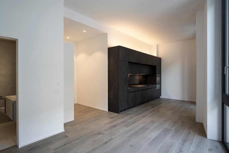 2.5 room city apartment 1st floor in Zurich, modern and quietly located (3)