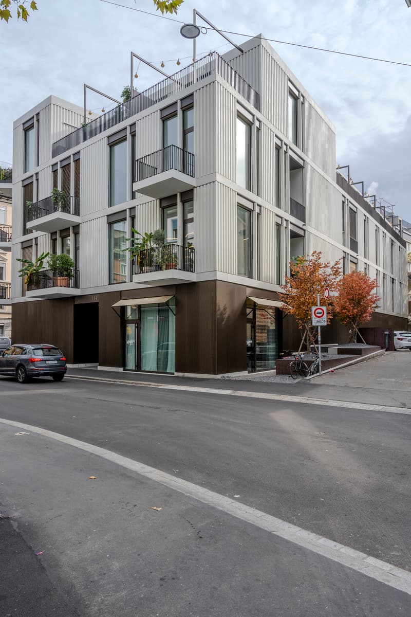 2.5 room city apartment 1st floor in Zurich, modern and quietly located (1)