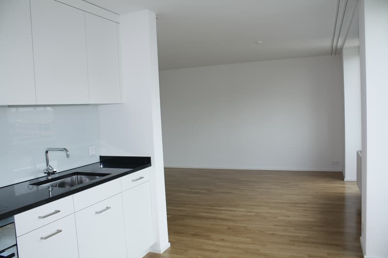 Moderne 1.5 Zimmerwohnung mit Balkon (4)