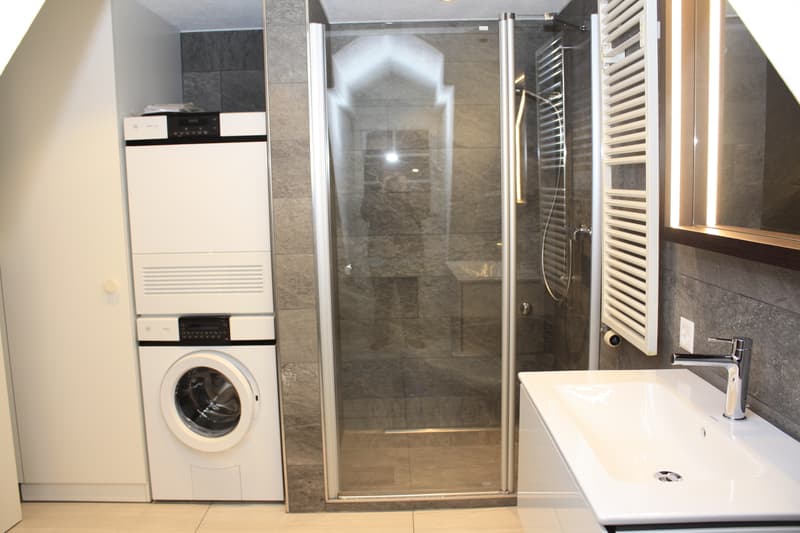 Exklusive 3.5-Zimmer-Maisonettewohnung mit Blick auf die Reuss in Luzern (5)