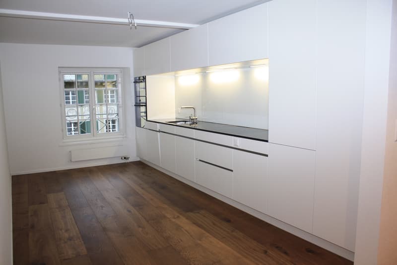 Exklusive 3.5-Zimmer-Maisonettewohnung mit Blick auf die Reuss in Luzern (2)