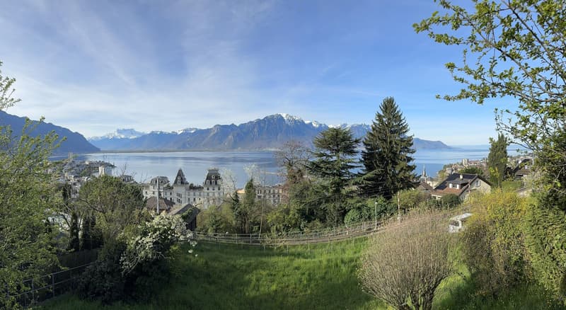 Villa proximité centre Montreux, vue exceptionnelle (1)
