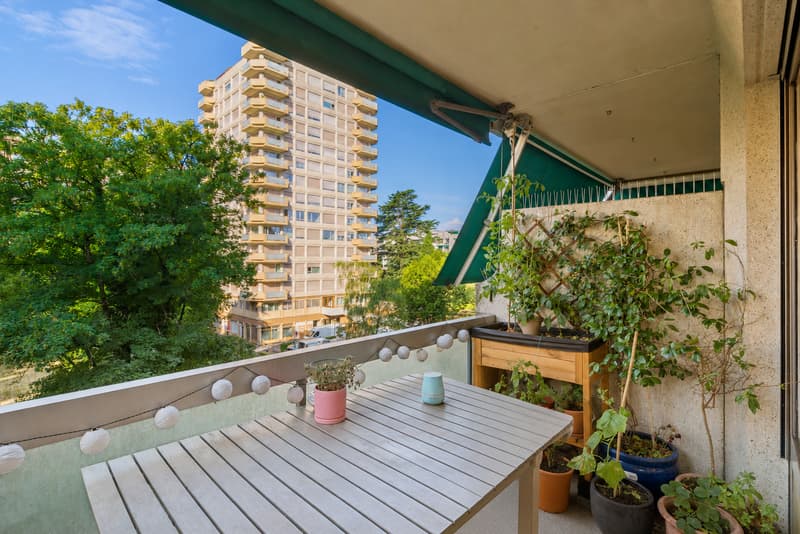 Exclusivité : Champel - appartement traversant, calme et recherché (1)