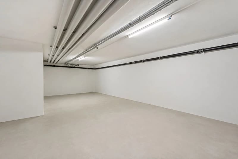 MAGNIFIQUE APPARTEMENT AVEC 4 CHAMBRES & 1300 M² DE JARDIN ! (11)