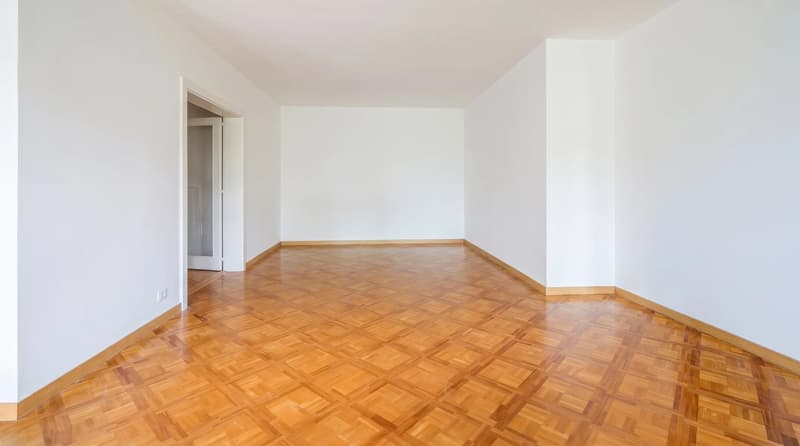 Champel - appartement traversant, étage élevé (4)