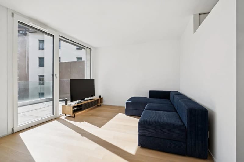 Exclusivité ! Bel appartement contemporain avec terrasse au centre ville (5)