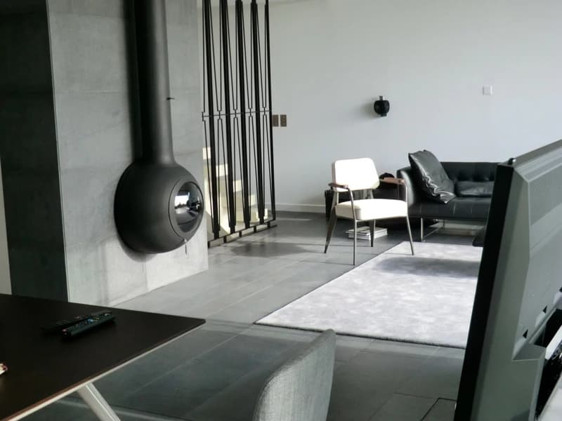Villa contemporaine à Vésenaz (4)