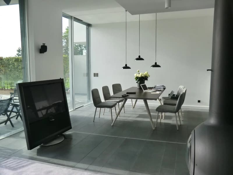 Villa contemporaine à Vésenaz (6)